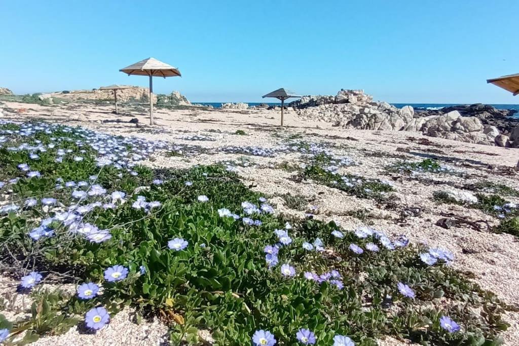 Acogedora Casita A 5' De La Playa En Tunquen * Valparaiso